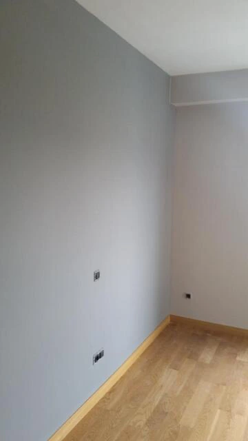 Pintores Vitoria